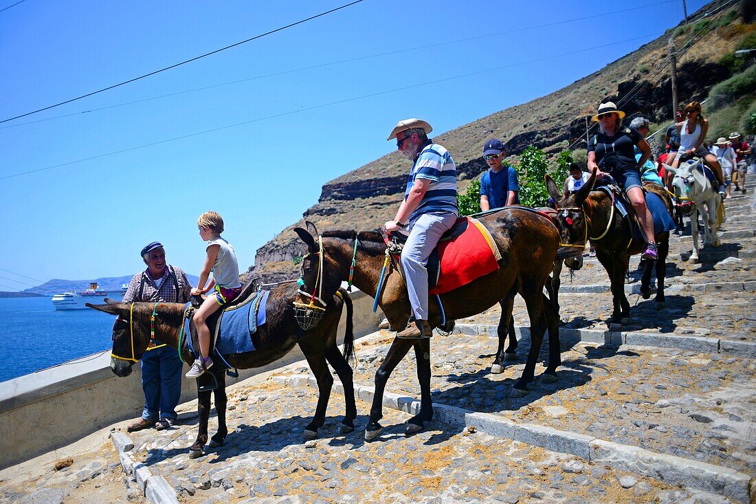 Maultiertaxis und Eselreiten in Fira, Santorin, eine grausame Tradition, die nach Ansicht vieler Tierschutzorganisationen zu Tiermissbrauch beiträgt.
