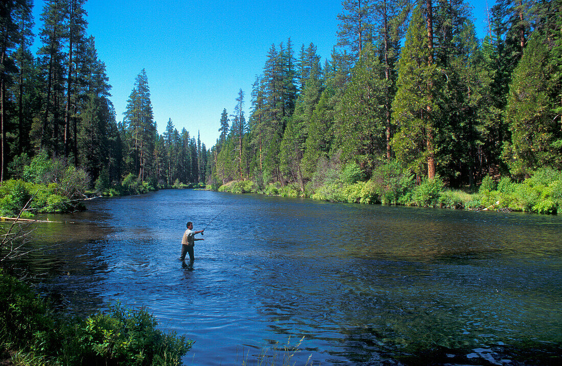 Fly fisherman on the Metolius River; Deschutes National Forest, Cascade Mountains, central Oregon.