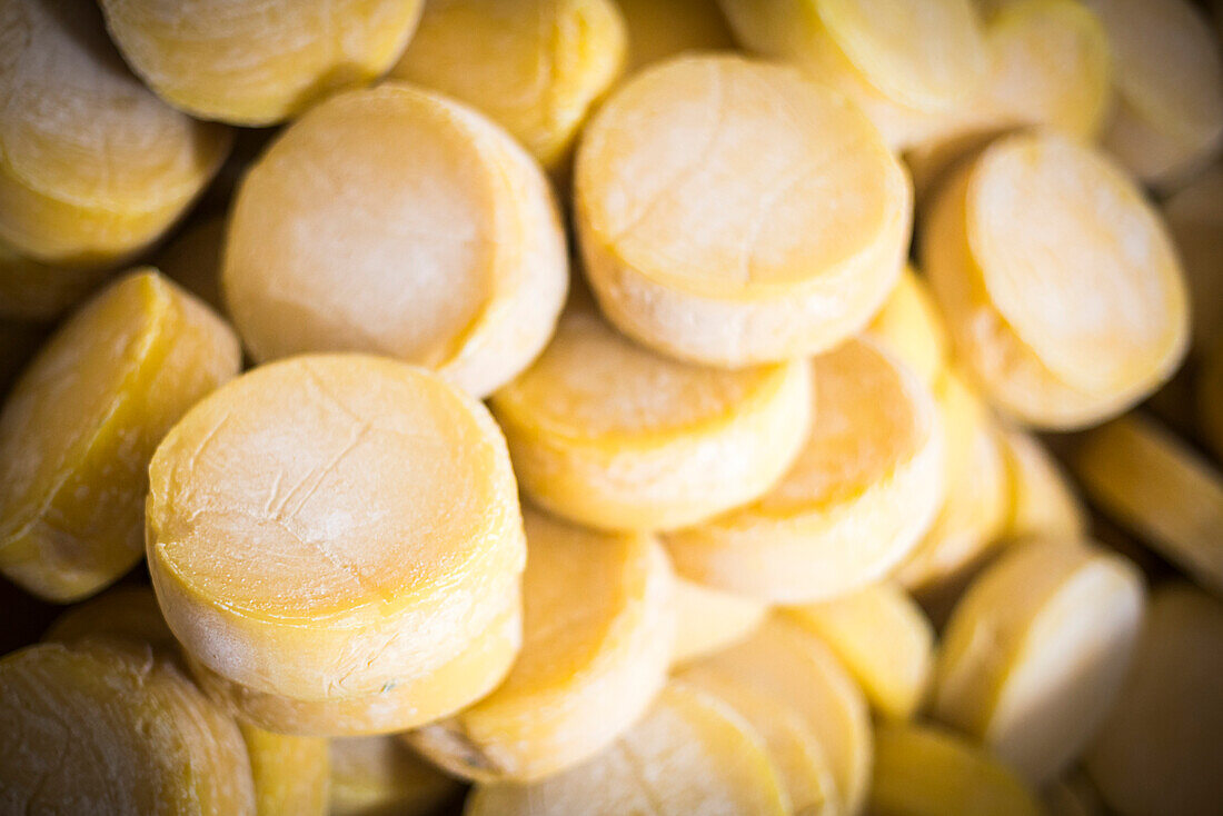 Cheese awaiting waxing at the Cheese Factory at Hacienda Zuleta, Imbabura, Ecuador, South America