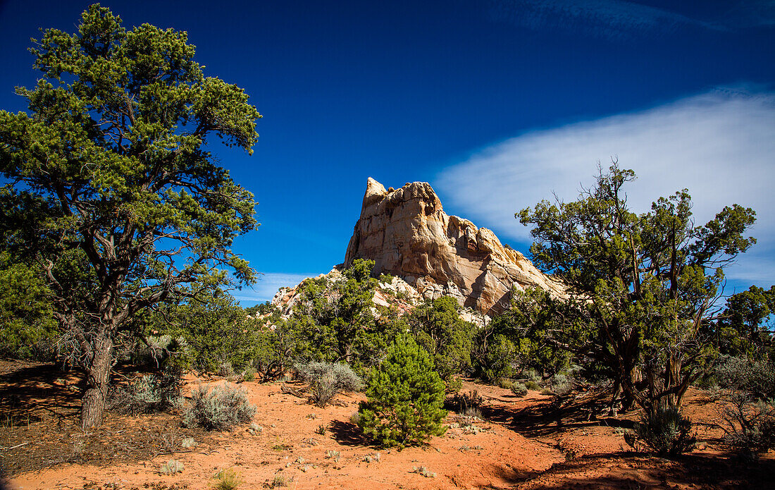 Eroded sandstone formations in Muley Twist Canyon in Capitol Reef National Park in Utah.