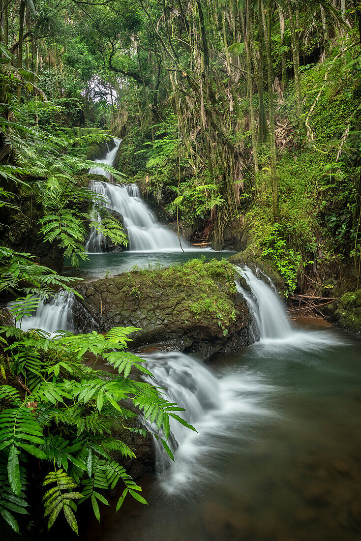 Waterfalls on Onomea Stream, Hawaii Tropical Botanical Garden, Island of Hawaii.