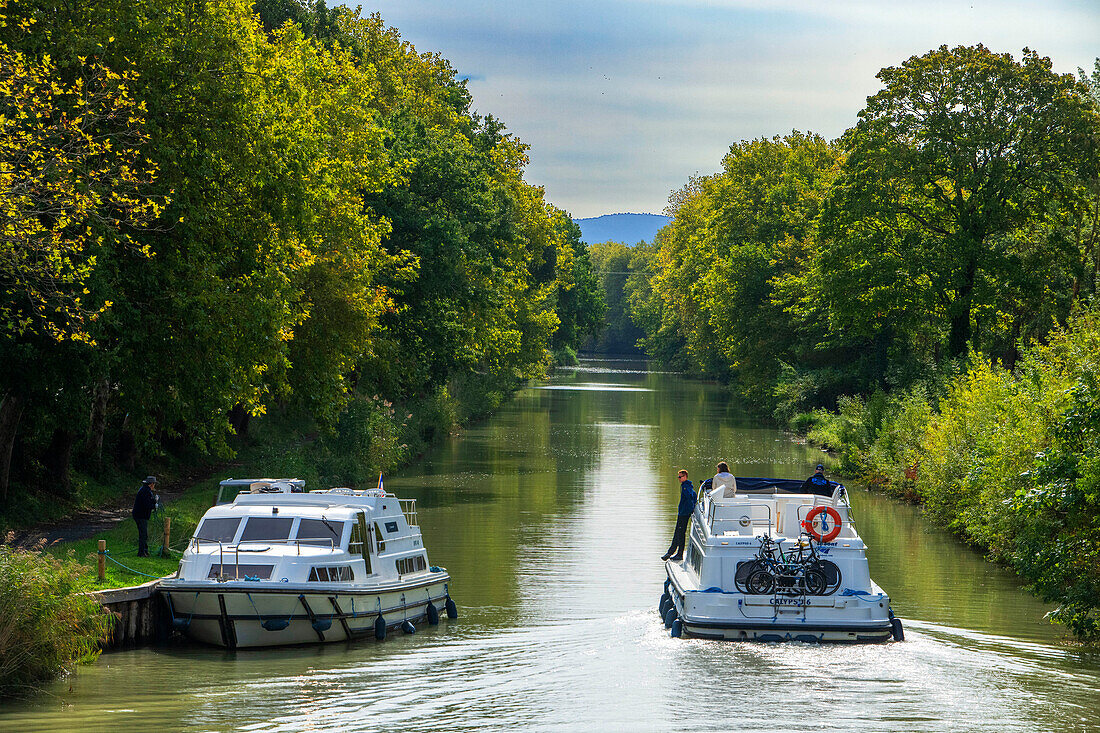 Der Canal du Midi, in der Nähe von Carcassonne, französisches Departement Aude, Region Occitanie, Languedoc-Rousillon Frankreich. Boote, die auf dem von Bäumen gesäumten Kanal vertäut sind. Die Herminis-Schleuse oder Herminis ecluse.