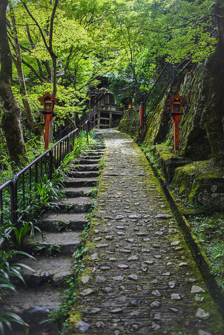 Der buddhistische Tempel Otagi Nenbutsu-ji im Stadtviertel Arashiyama in Kyoto, Japan