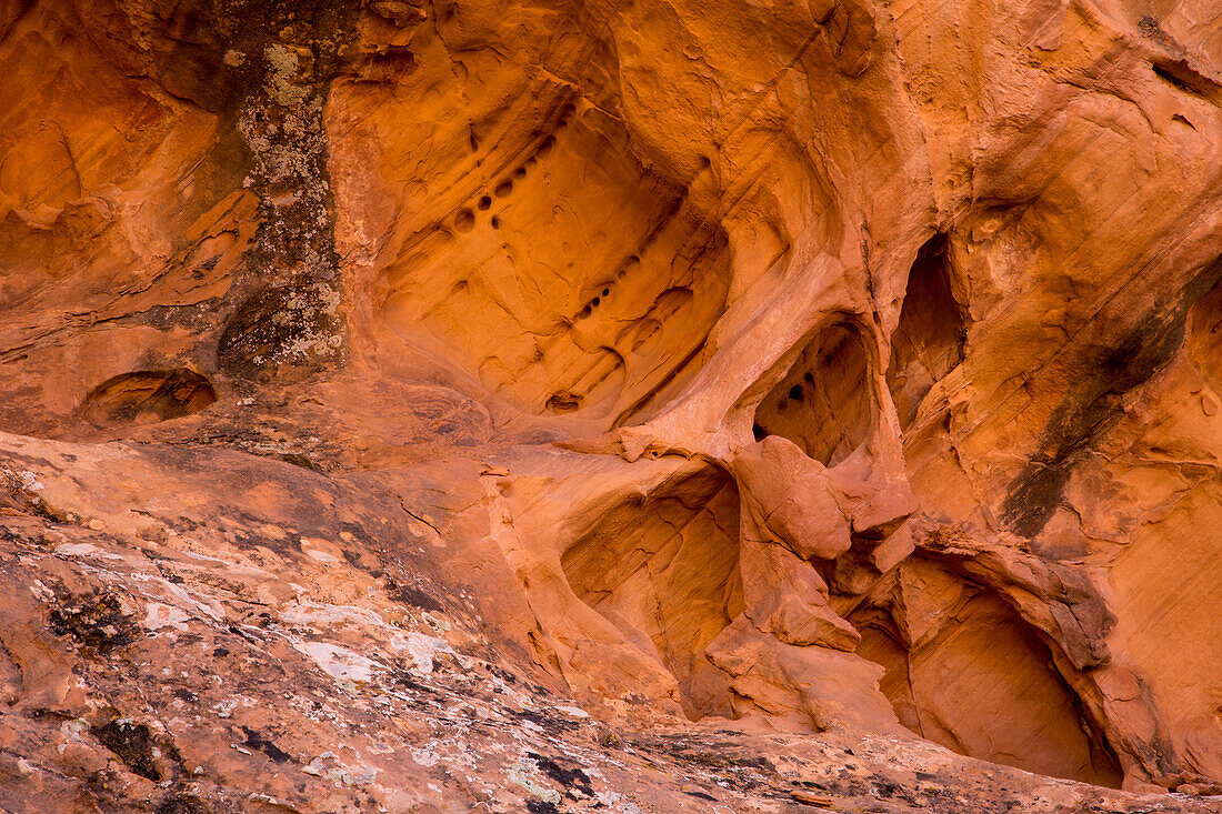 Verschlungene Erosionsmuster, darunter ein Mikrobogen, in der Sandsteinwand des Muley Twist Canyon, Capitol Reef National Park, Utah.