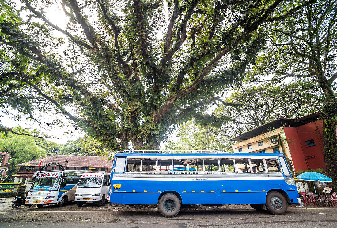 Ortsbus, Fort Kochi (Cochin), Kerala, Indien