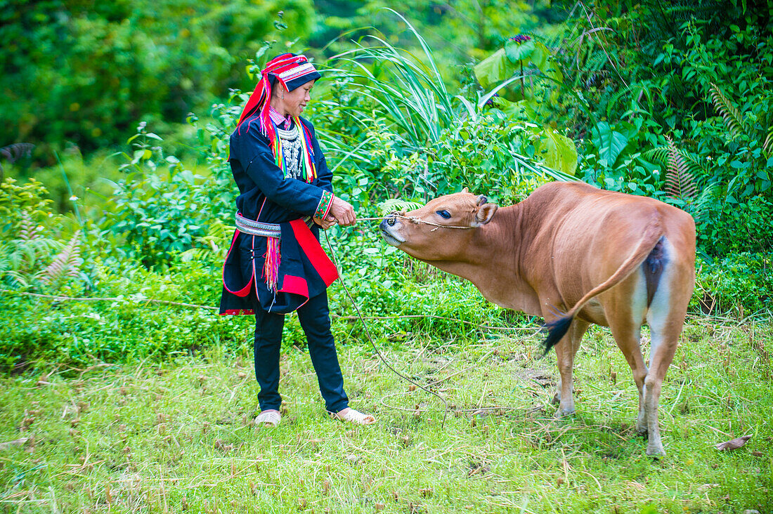 Woman from the Red Dao minority in a village near Ha Giang in Vietnam