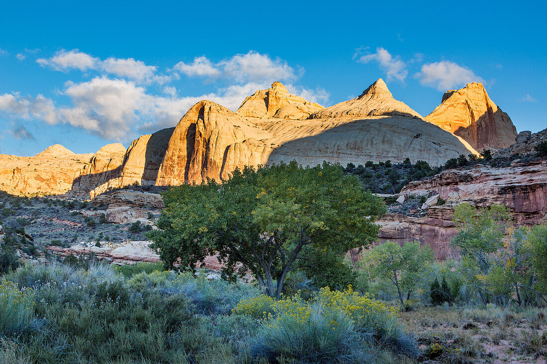 Die spitze Navajo-Sandsteinpyramide, bekannt als Navajo Dome, in der Mitte rechts. Capitol Reef National Park, Utah.