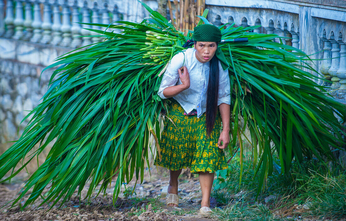 Vietnamesischer Bauer auf einem Landgut in der Nähe von Ha Giang Vietnam