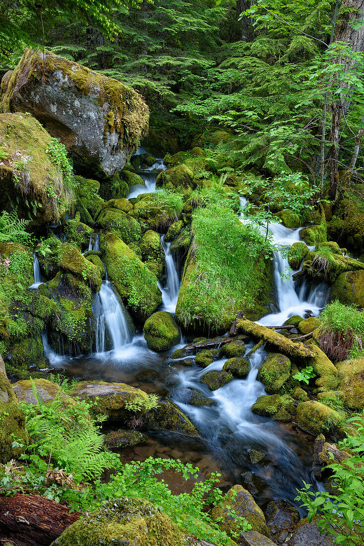 Waterfalls on Watson Creek, Umpqua National Forest, Oregon.
