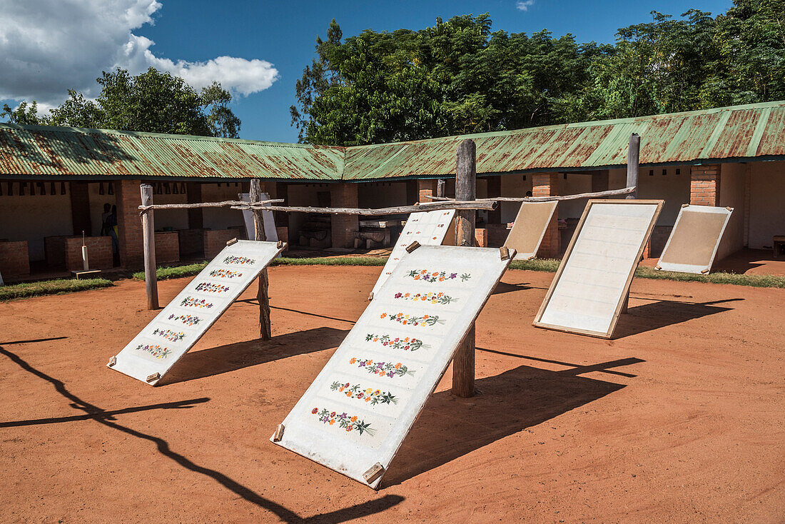 Handgemachtes Papier, Ambalavao, Region Haute Matsiatra, Zentrales Hochland von Madagaskar