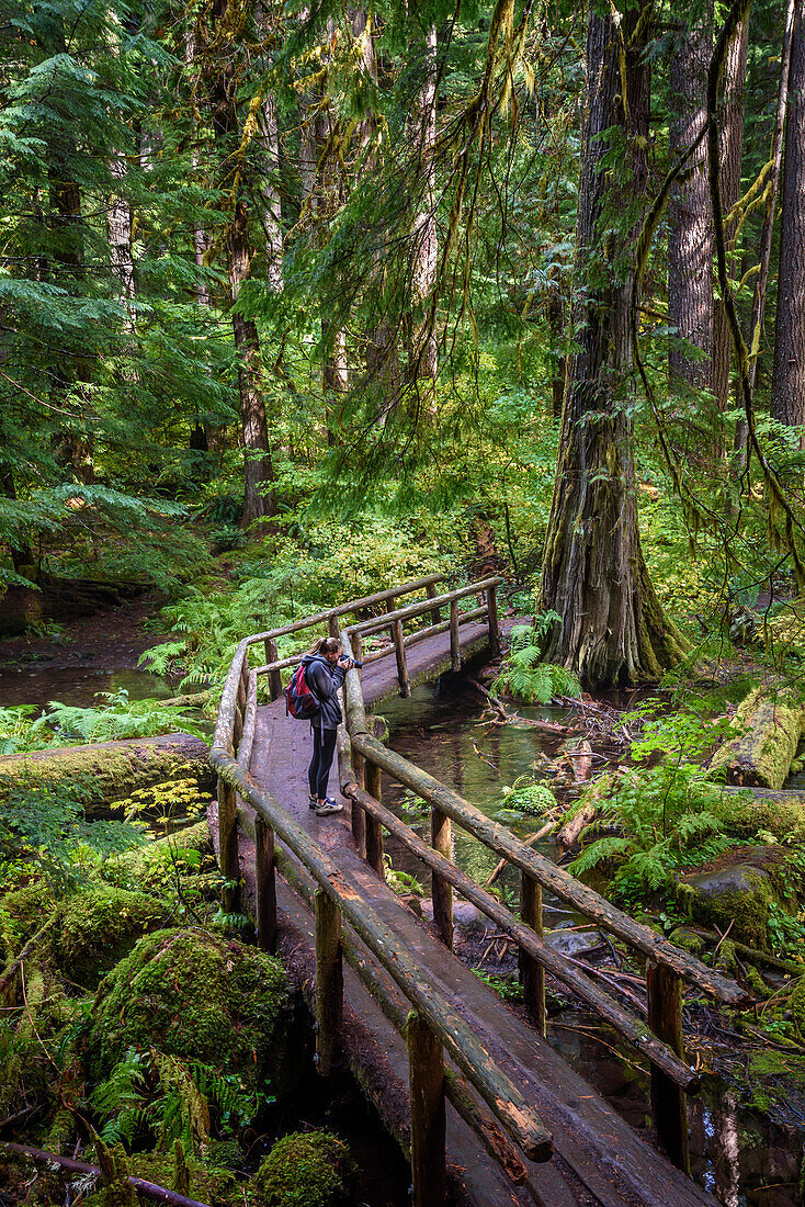 Junge Wanderin mit Kamera auf dem McKenzie River National Recreation Trail, Willamette National Forest, Oregon.