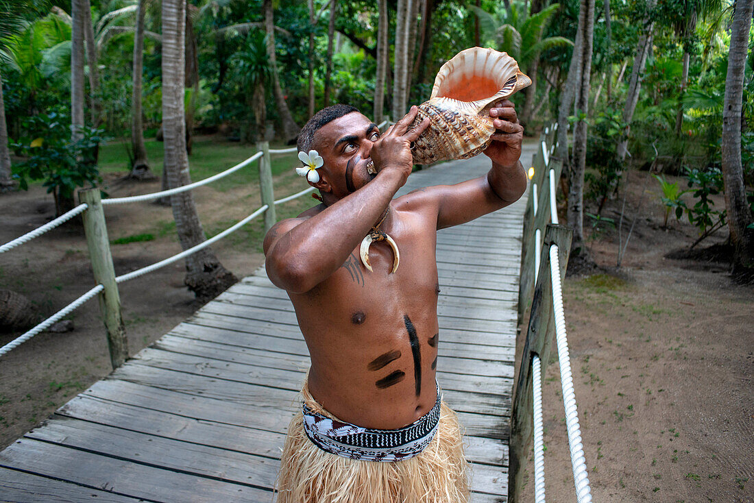 Traditioneller fidschianischer Krieger beim Blasen einer Muschel im Malolo Island Resort und Likuliku Resort, Mamanucas Inselgruppe Fidschi
