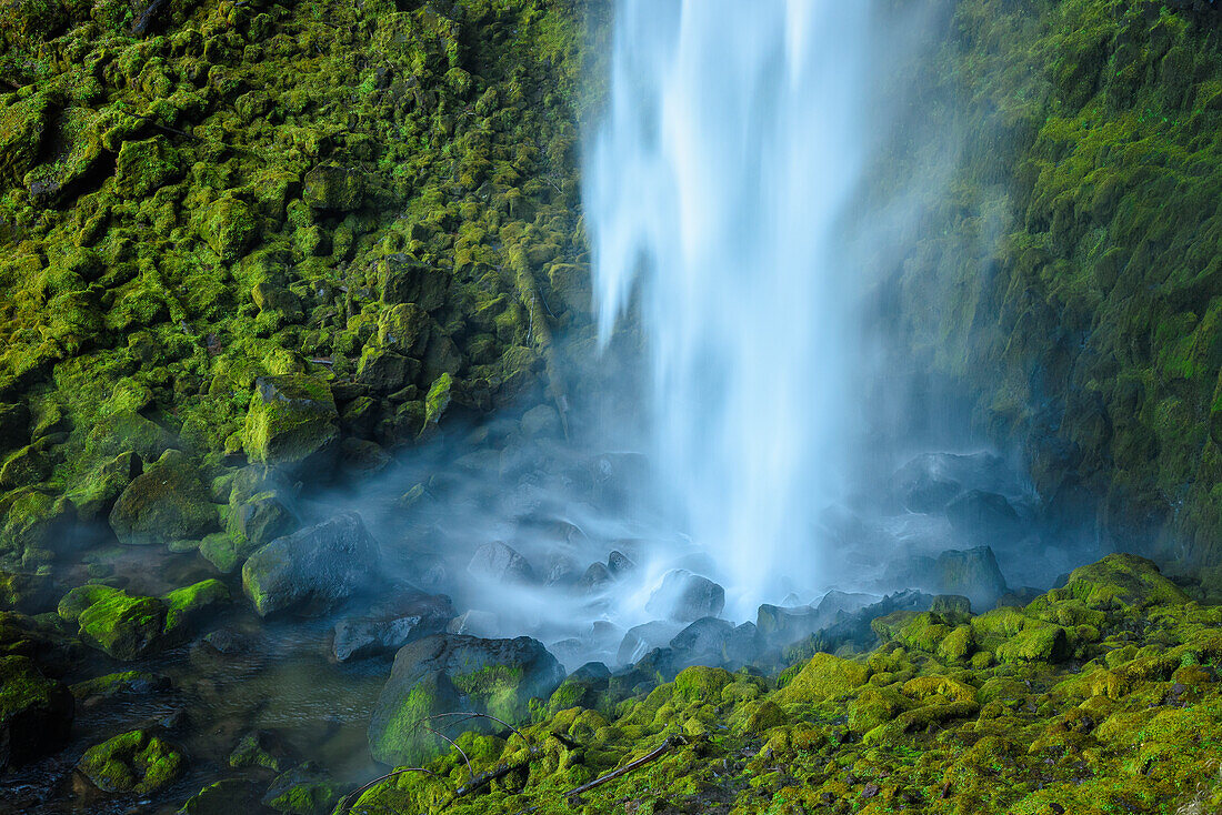 Watson Falls, Umpqua National Forest, Oregon.