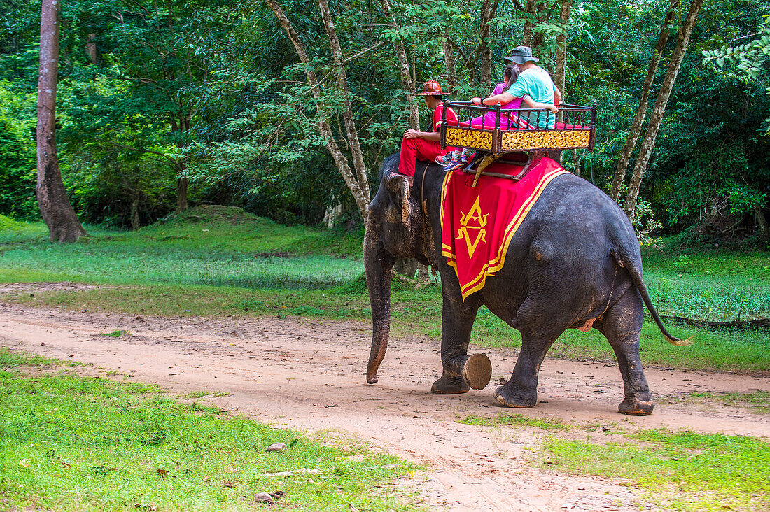 Touristen reiten auf einem Elefanten in Angkor Thom in Siem Reap, Kambodscha.
