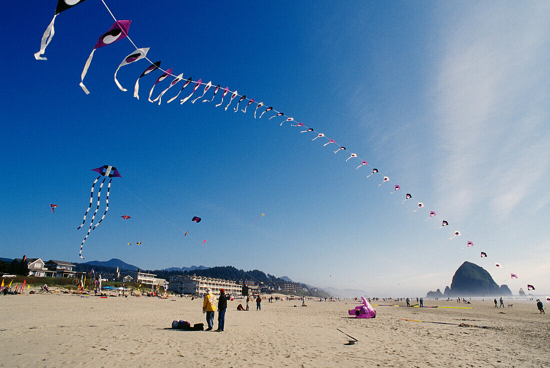 Das jährliche Puffin Kite Festival in Cannon Beach an der Küste von Oregon.
