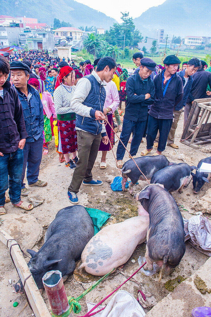 Der Wochenendmarkt in Dong Van Vietnam