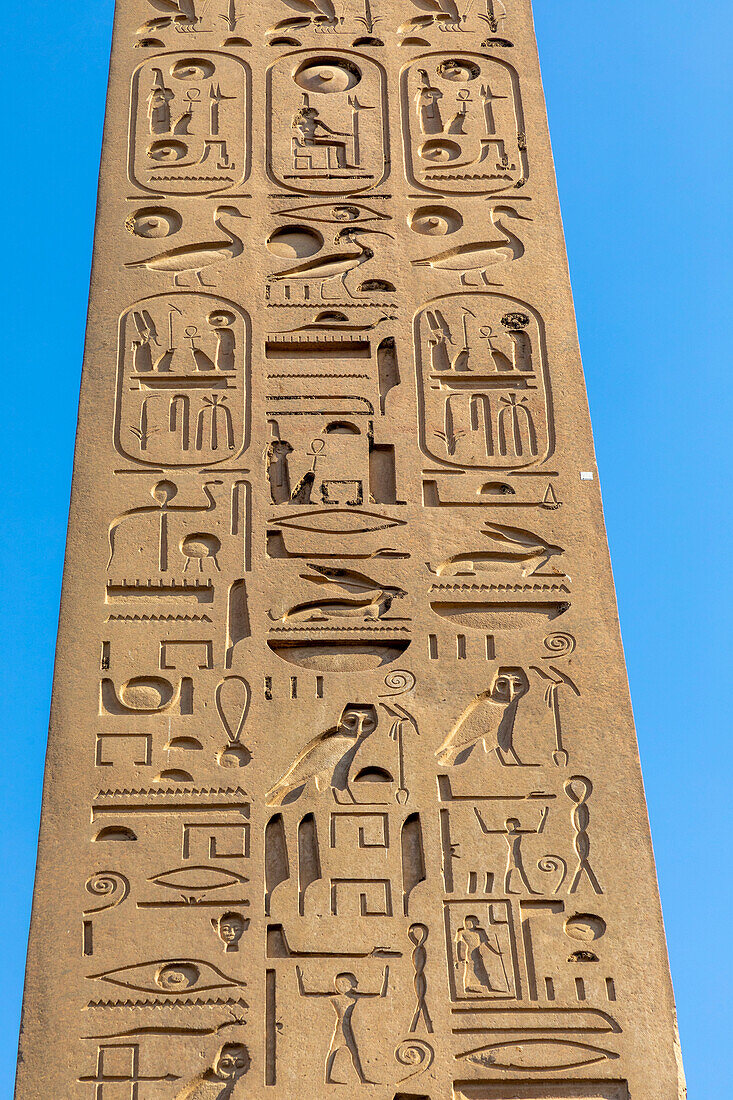 Der Obelisk im Luxor-Tempel, Luxor, Theben, UNESCO-Welterbestätte, Ägypten, Nordafrika, Afrika