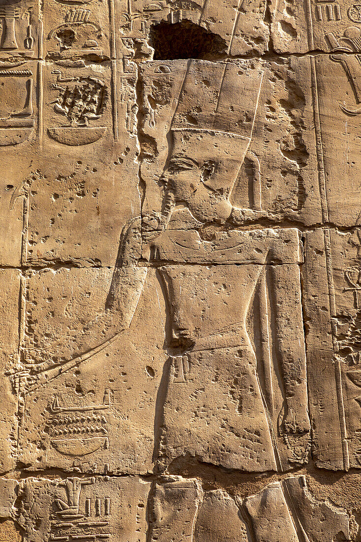 Stone Carvings at Luxor Temple, Luxor, Thebes, UNESCO World Heritage Site, Egypt, North Africa, Africa