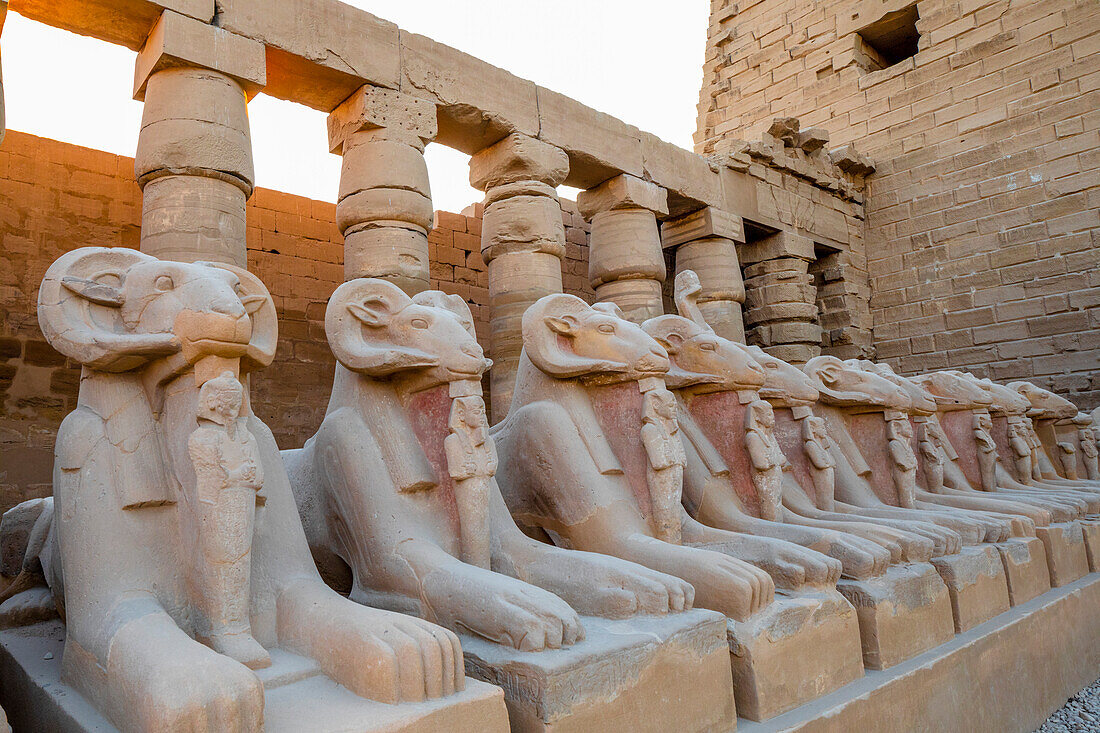 The Avenue of Ram Headed Sphinxes, Karnak Temple, Luxor, Thebes, UNESCO World Heritage Site, Egypt, North Africa, Africa