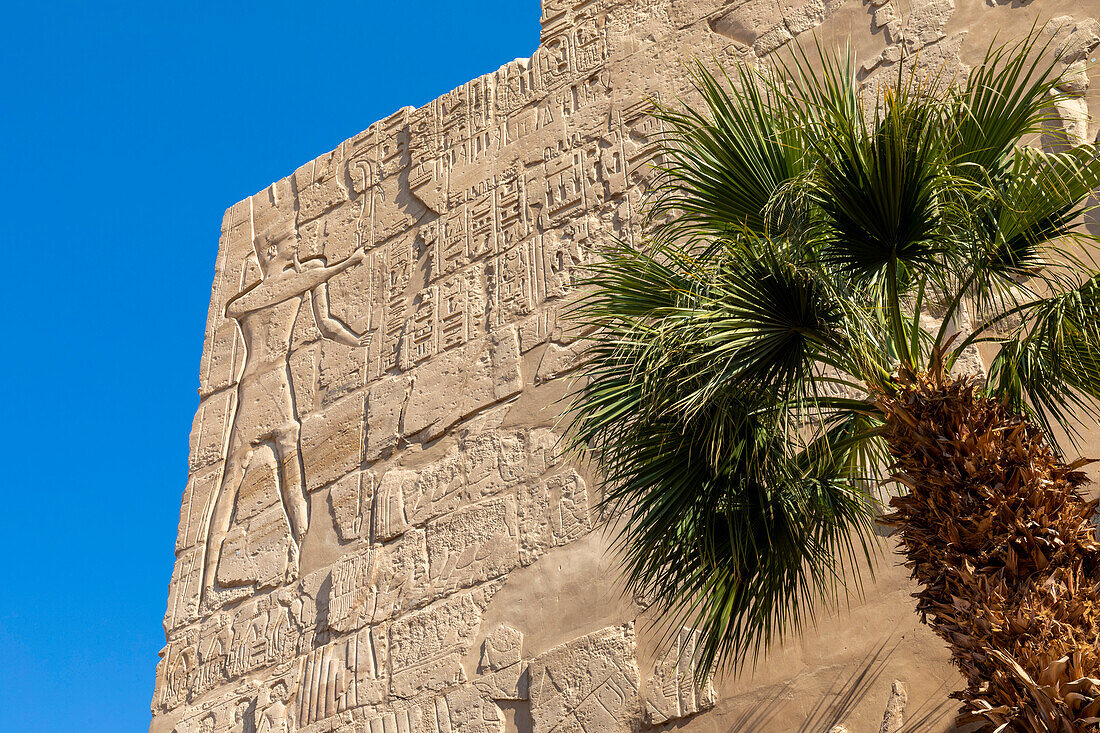 Steinmetzarbeiten und Hieroglyphen im Karnak-Tempel, Luxor, Theben, UNESCO-Welterbe, Ägypten, Nordafrika, Afrika