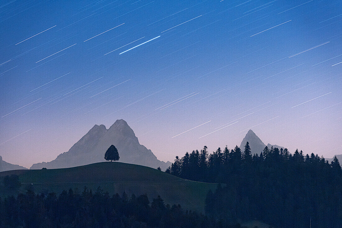 Sternenschweif am Nachthimmel über einem einsamen Baum auf einem Hügel und dem Gipfel des Schreckhorns, Sumiswald, Emmental, Kanton Bern, Schweiz, Europa