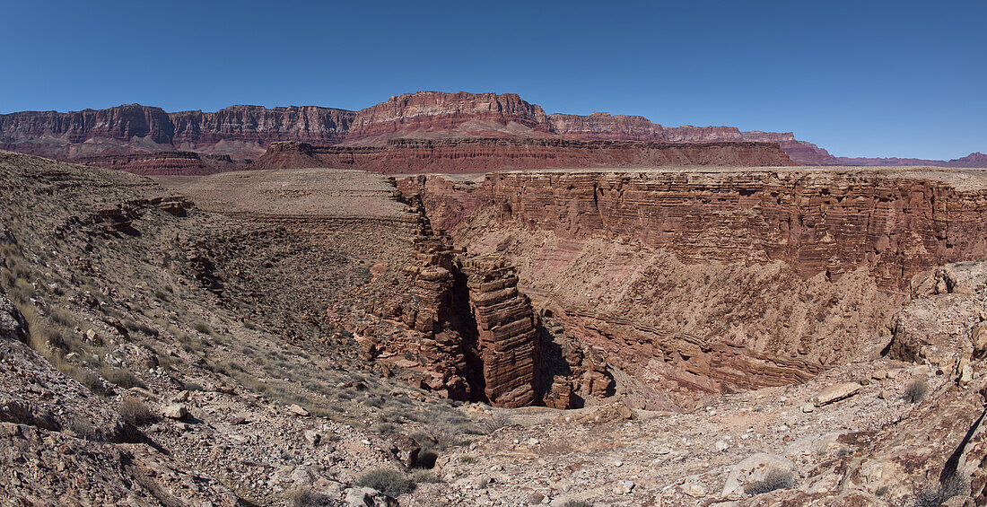 Der North Fork Abyss des Lower Soap Creek Canyon an der Einmündung des South Fork im Marble Canyon, Arizona, Vereinigte Staaten von Amerika, Nordamerika