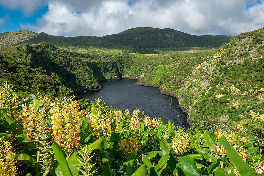 Lagoa Comprida Vulkansee umgeben von Vegetation und Ingwerlilienblüten an einem sonnigen Tag, Insel Flores, Azoren, Portugal, Atlantischer Ozean, Europa