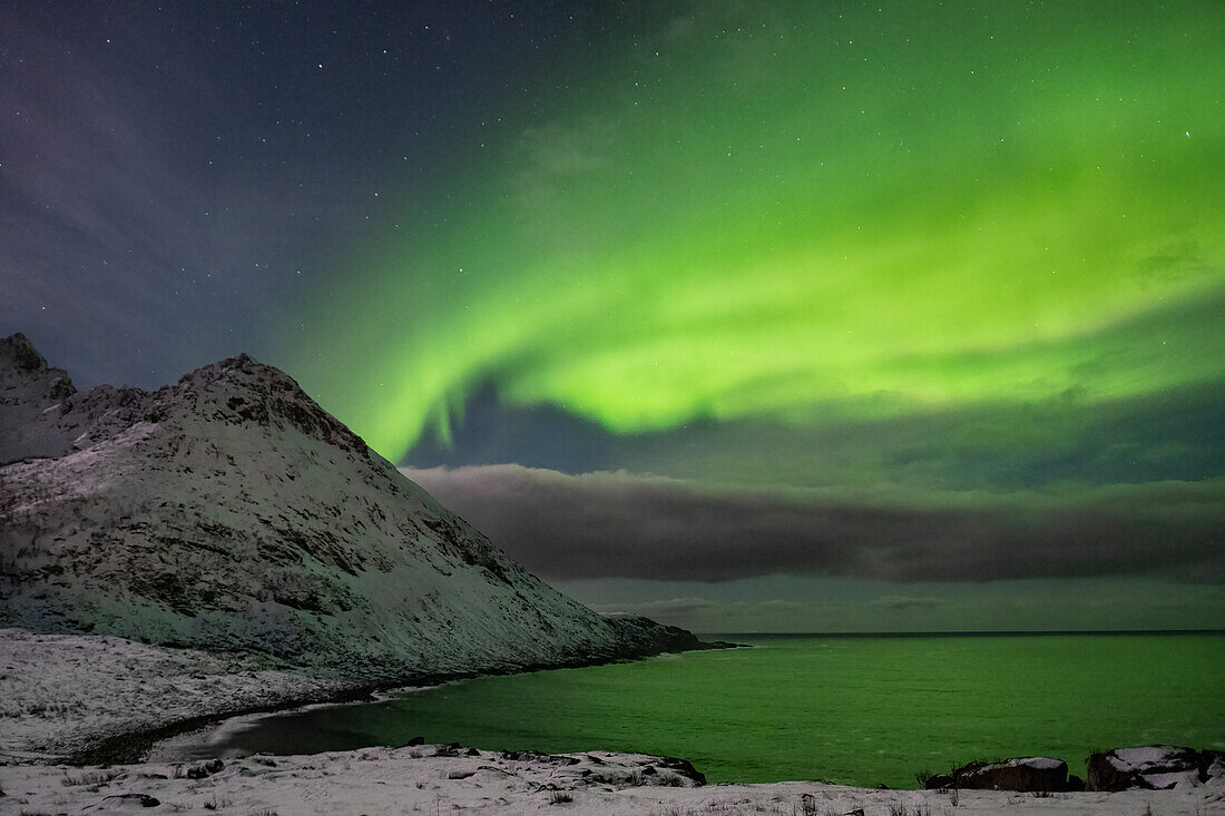 Das Nordlicht (Aurora Borealis) über dem Skoytneset und dem Mefjorden im Winter, in der Nähe des Mefjordvaer, Senja, Provinz Troms og Finnmark, Norwegen, Skandinavien, Europa
