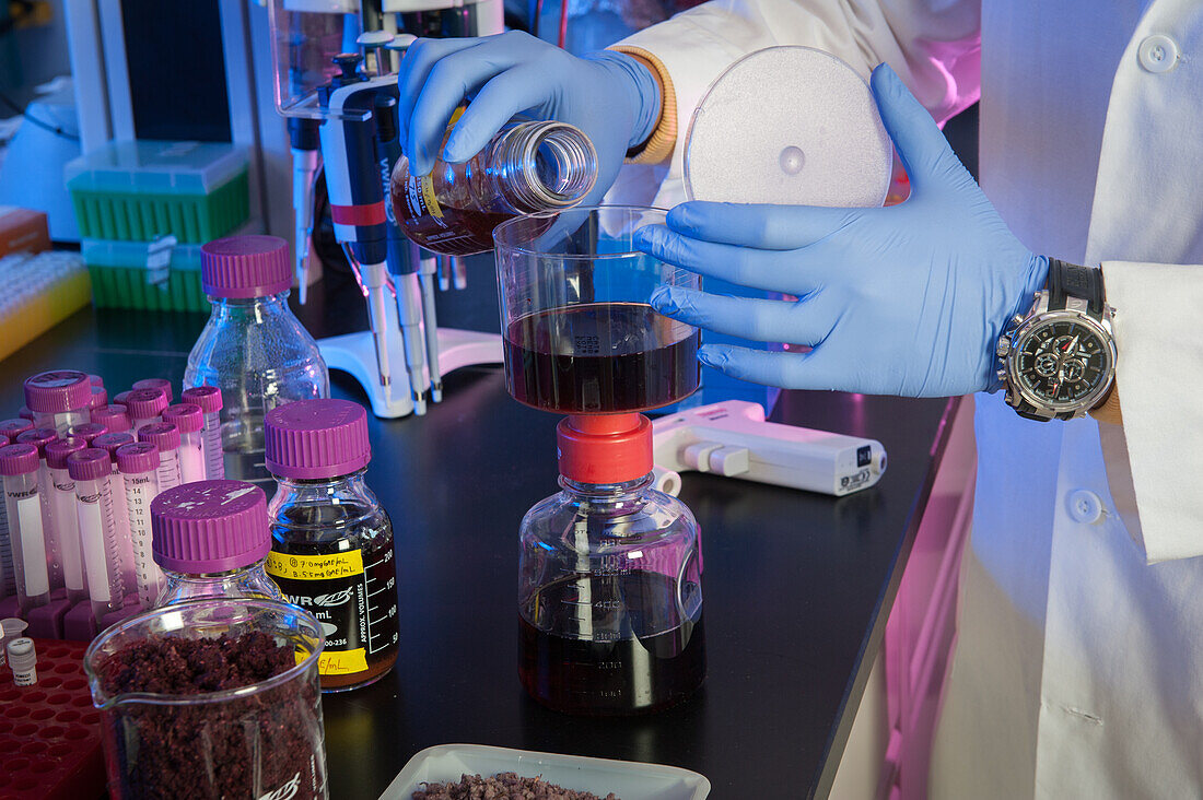 Wissenschaftlerin im Labor mit violetter Flüssigkeit