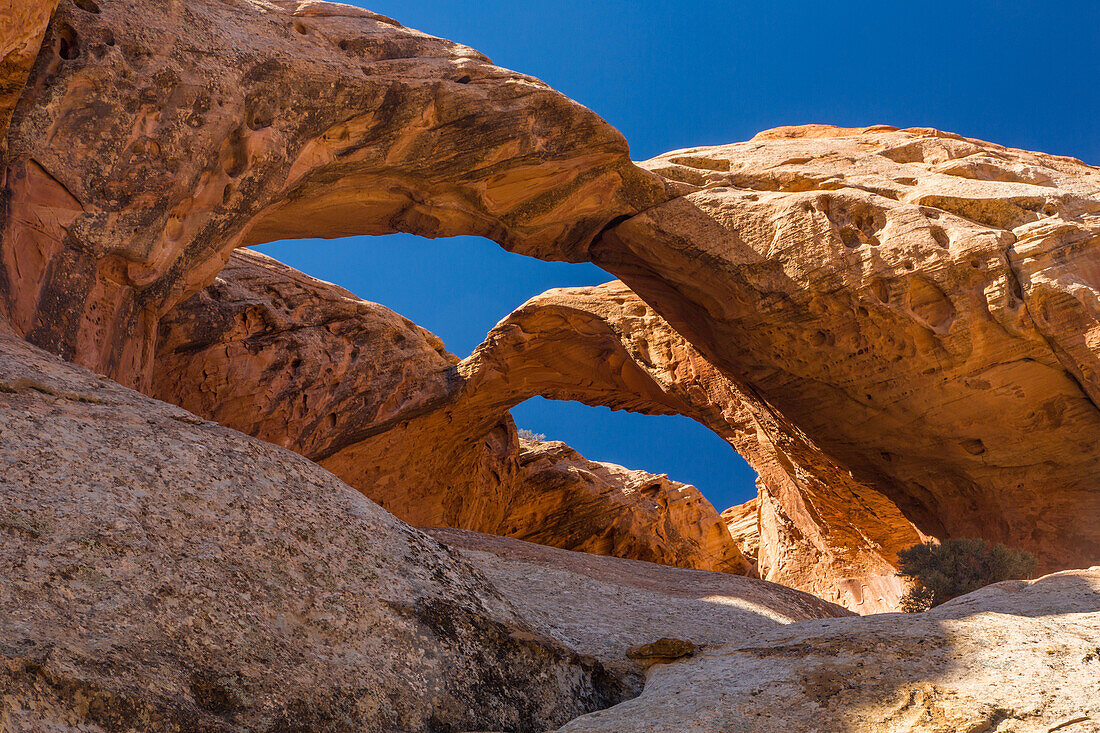 Double Arch im Muley Twist Canyon im Capitol Reef National Park in Utah.