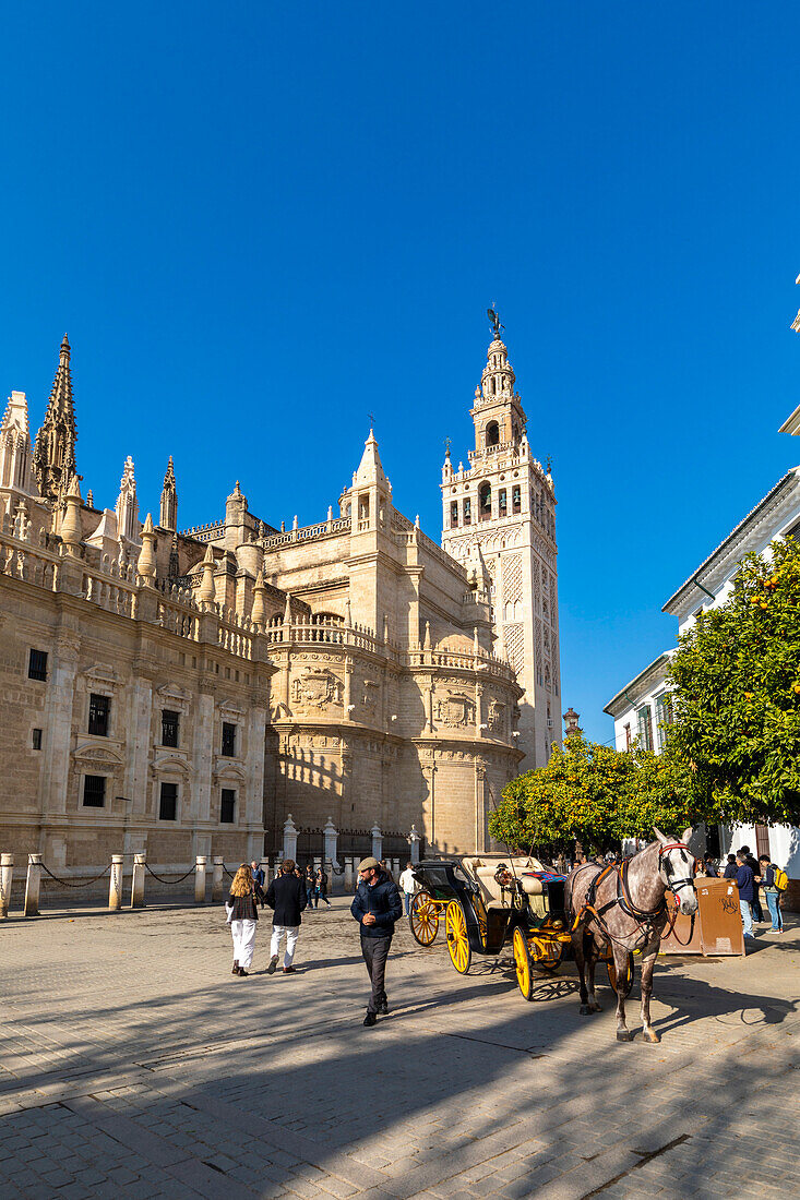 Außenansicht der Kathedrale von Sevilla, UNESCO-Weltkulturerbe, Sevilla, Andalusien, Spanien, Europa