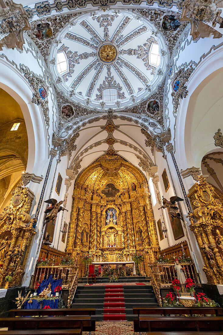 Innenraum der Iglesia San Francisco, Córdoba, Andalusien, Spanien, Europa