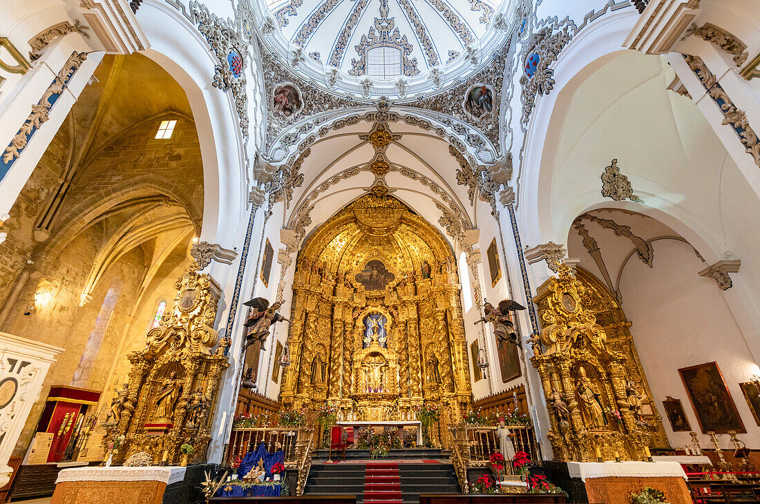 Interior of Iglesia San Francisco, Cordoba, Andalusia, Spain, Europe