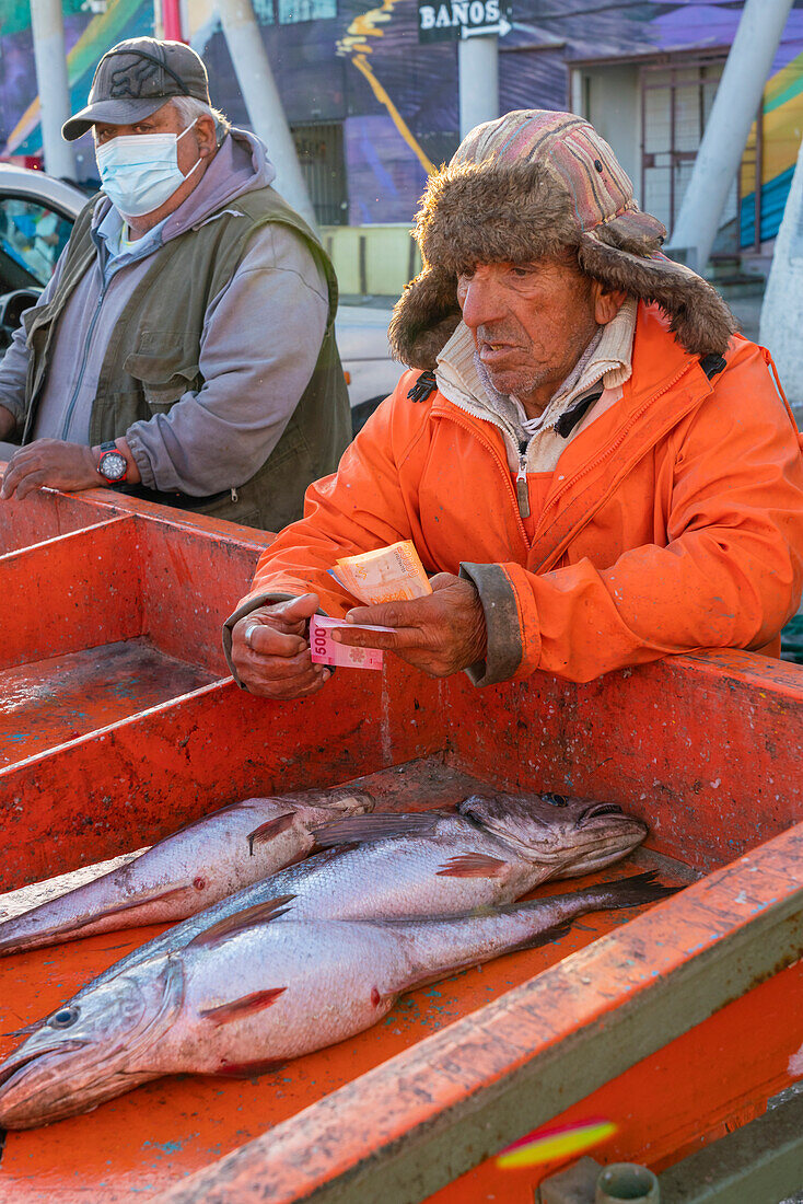 Senior man selling fresh fish at market, Caleta Portales, Valparaiso, Valparaiso Province, Valparaiso Region, Chile, South America