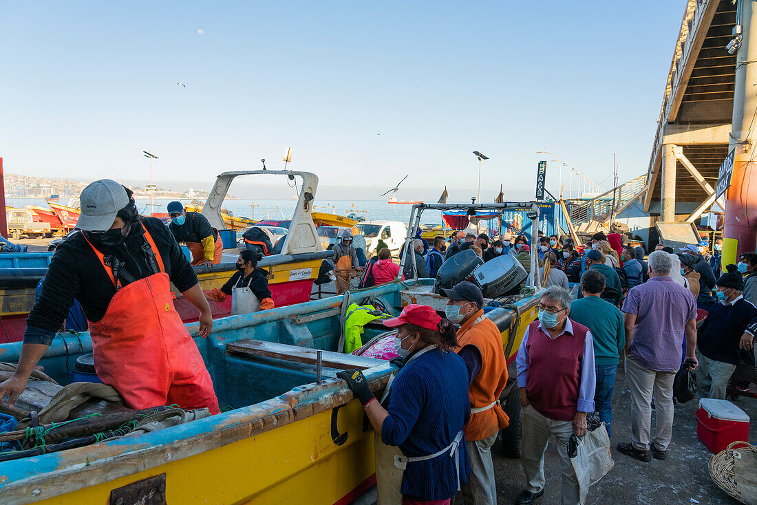 People buying fresh fish at market, Caleta Portales, Valparaiso, Valparaiso Province, Valparaiso Region, Chile, South America