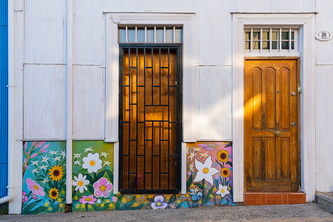 Painted mural with colorful flowers, Cerro Bellavista, Valparaiso, Valparaiso Province, Valparaiso Region, Chile, South America