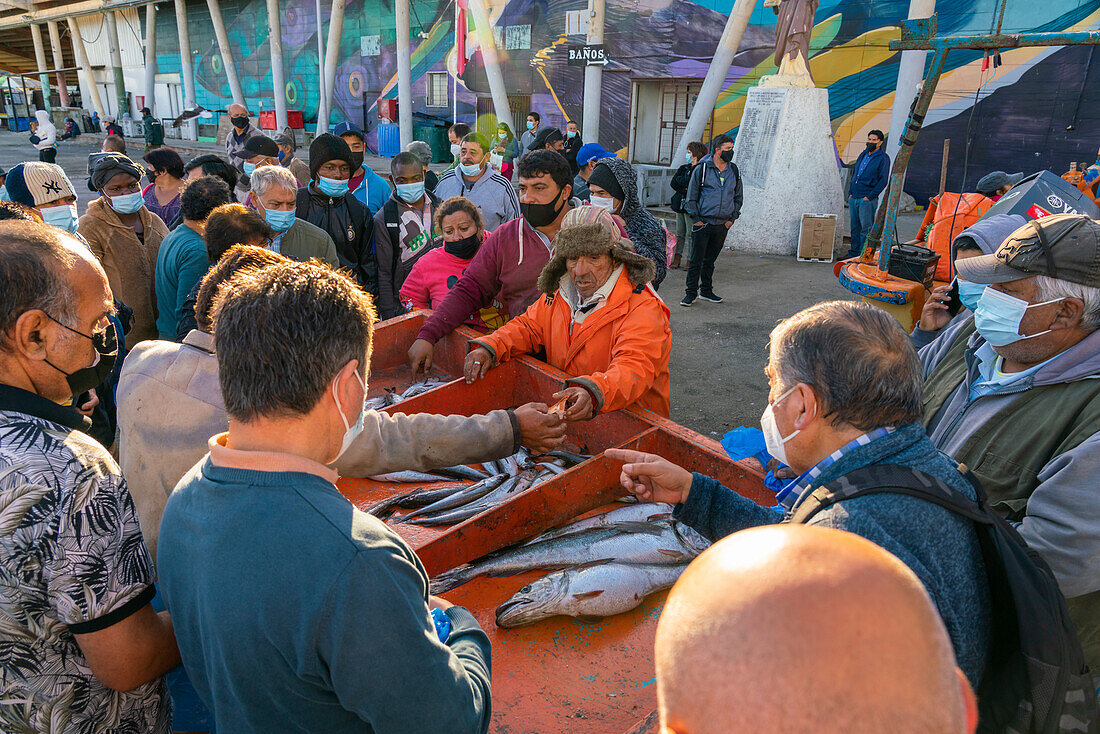 Menschen kaufen frischen Fisch auf dem Markt, Caleta Portales, Valparaiso, Provinz Valparaiso, Region Valparaiso, Chile, Südamerika