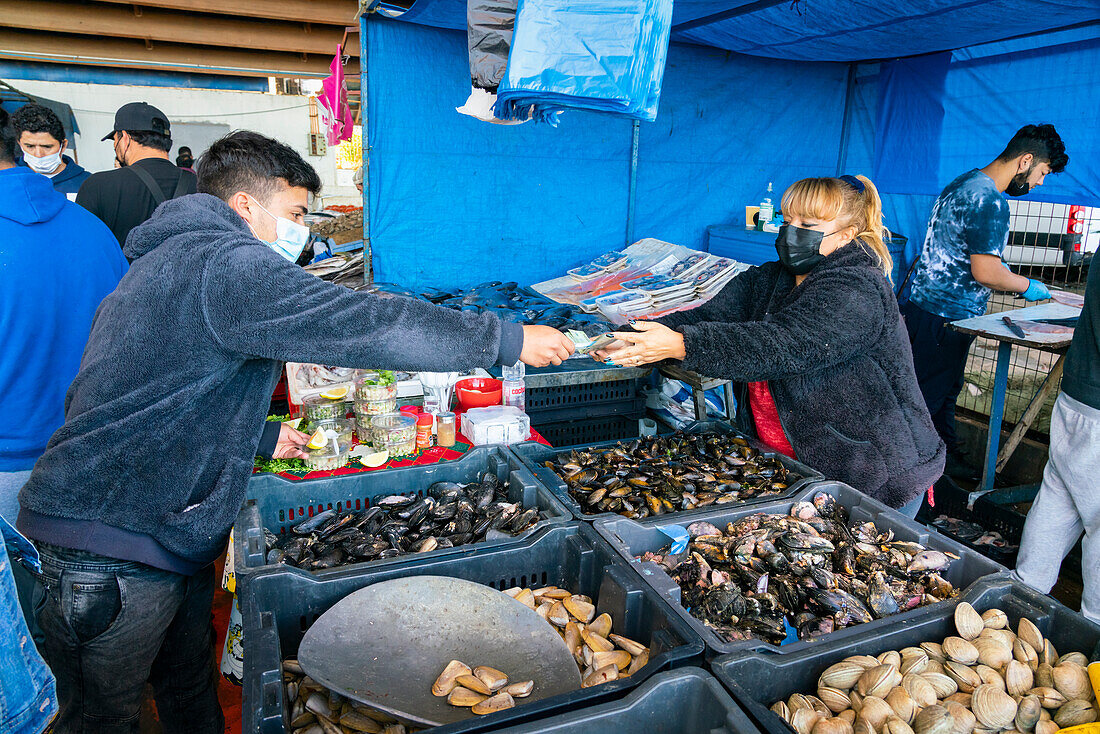 Man buying fresh seafood at market, Caleta Portales, Valparaiso, Valparaiso Province, Valparaiso Region, Chile, South America