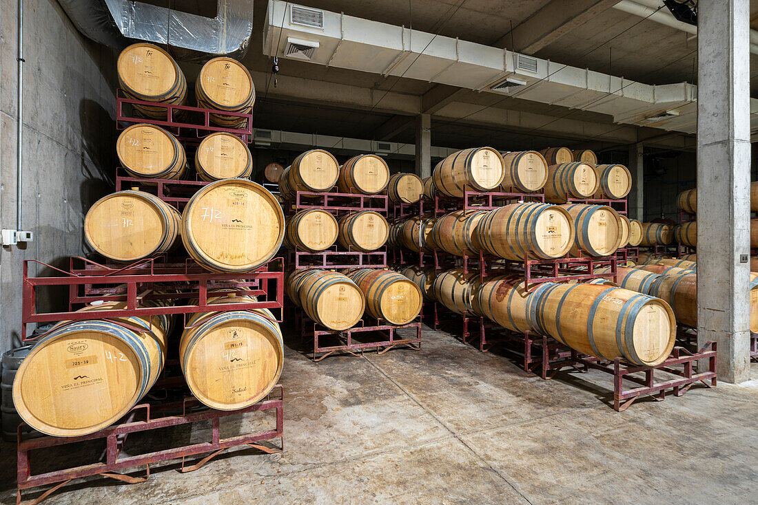 Weinkeller mit Fässern, in denen der Wein die malolaktische Gärung durchläuft, Weinkellerei El Principal, Pirque, Maipo-Tal, Provinz Cordillera, Metropolregion Santiago, Chile, Südamerika