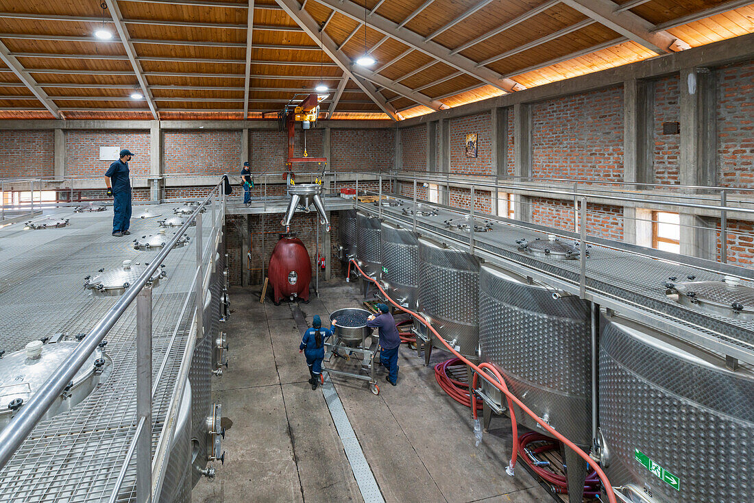 Fermentation tanks, El Principal winery, Pirque, Maipo Valley, Cordillera Province, Santiago Metropolitan Region, Chile, South America