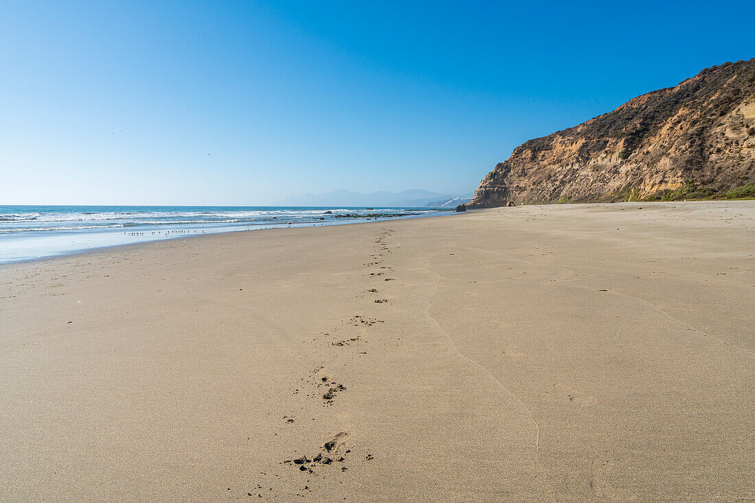 Footprints in sand at Quirilluca beach, Puchuncavi, Valparaiso Province, Valparaiso Region, Chile, South America
