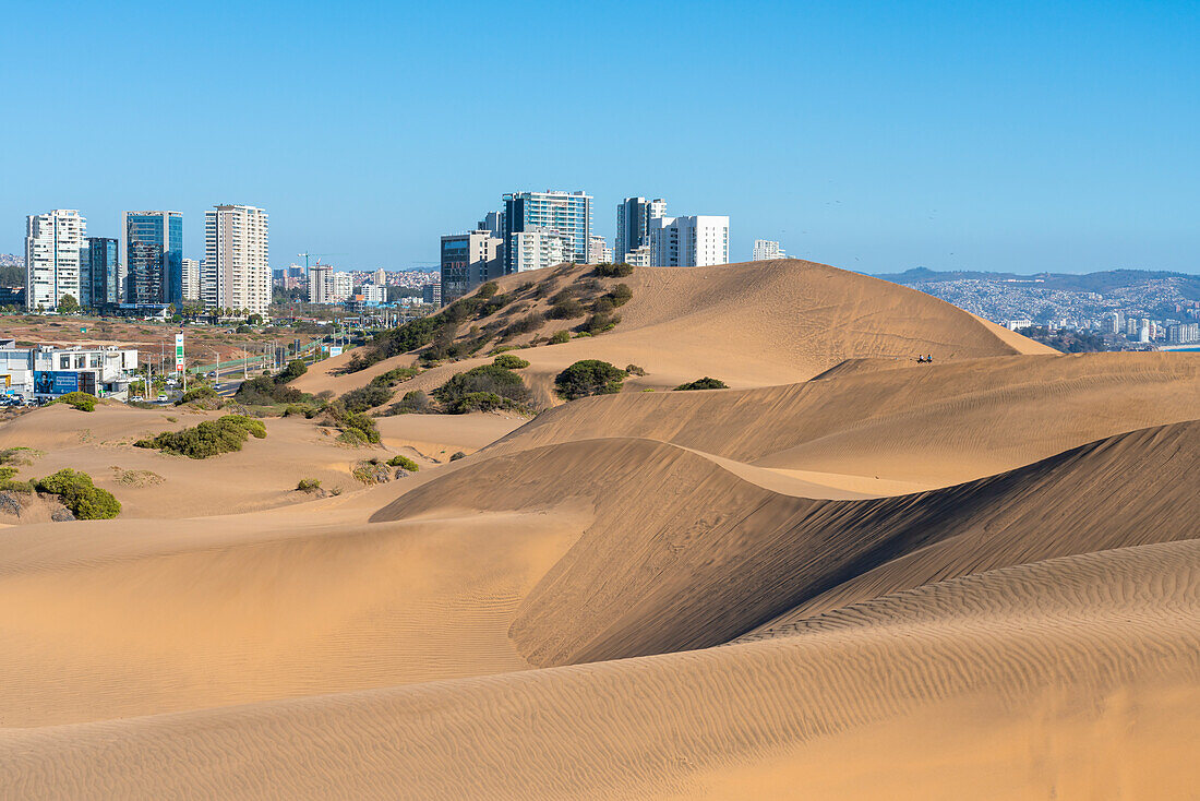 Sand dunes and residential high-rise buildings, Concon, Valparaiso Province, Valparaiso Region, Chile, South America