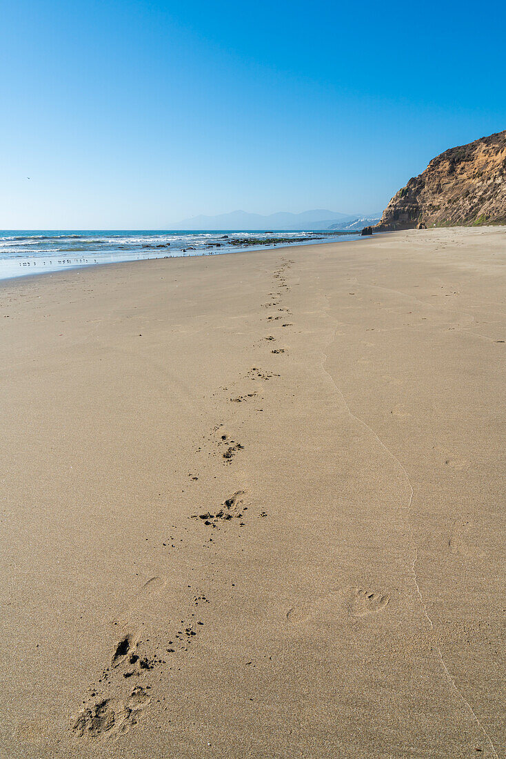 Fußabdrücke im Sand am Quirilluca-Strand, Puchuncavi, Provinz Valparaiso, Region Valparaiso, Chile, Südamerika