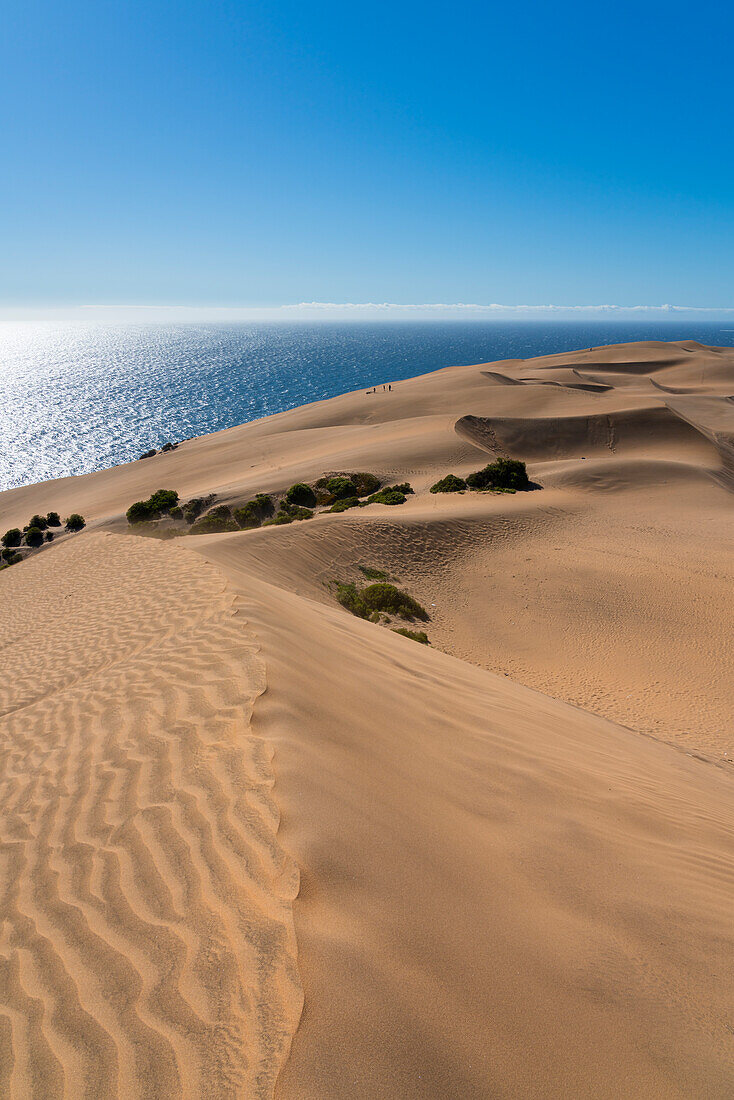 Sand dunes, Concon, Valparaiso Province, Valparaiso Region, Chile, South America