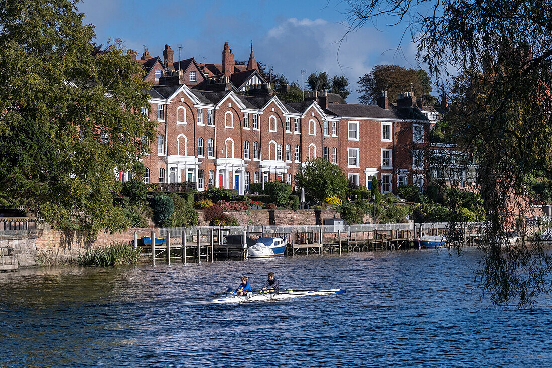 Rowers on the River Dee passing Deva Terrace, Chester, Cheshire, England, United Kingdom, Europe