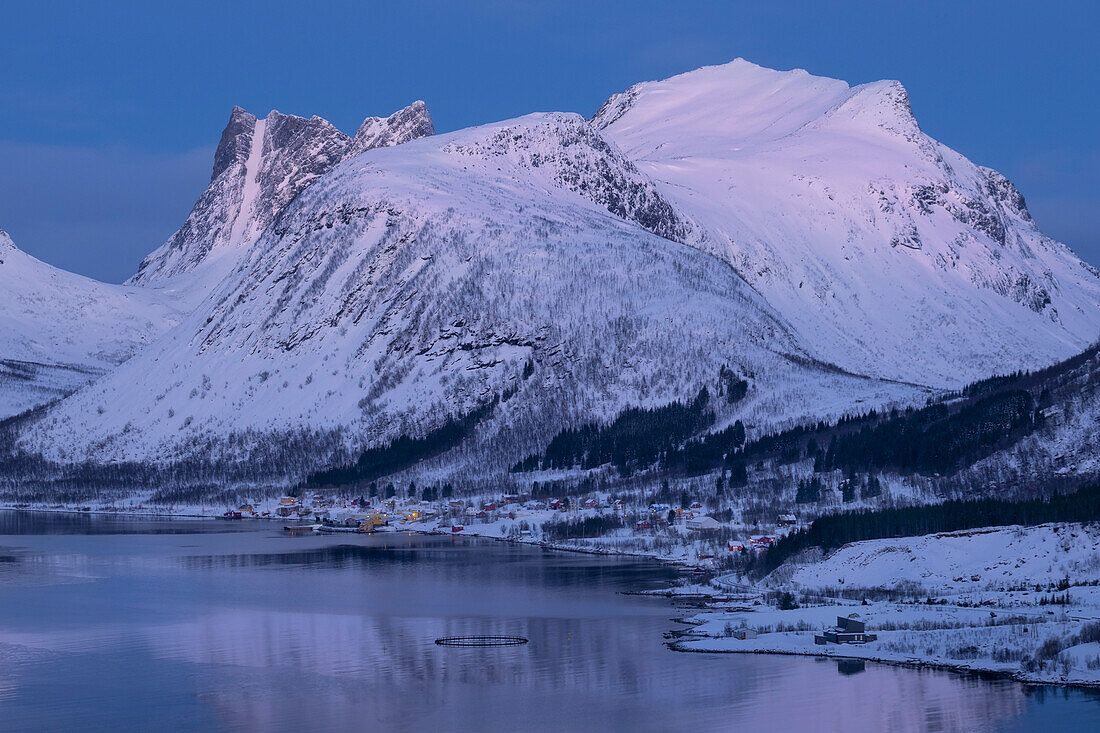 Morgendämmerung über dem Dorf Bergsbotn und dem Bergsfjord, im Hintergrund der Berg Luttinden im Winter, Bergsbotn Gebirge, Senja, Troms og Finnmark, Norwegen, Skandinavien, Europa