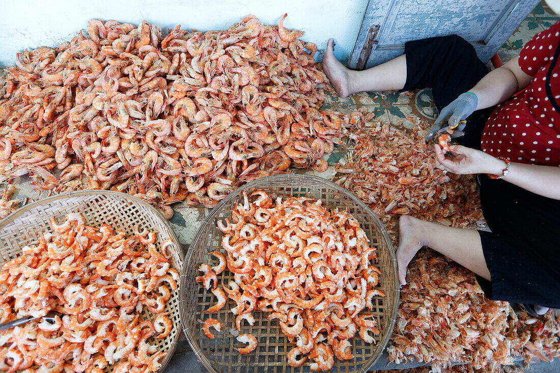 Frau bei der Arbeit in einer Meeresfrüchtefabrik, getrocknete Garnelen, Vung Tau, Vietnam, Indochina, Südostasien, Asien