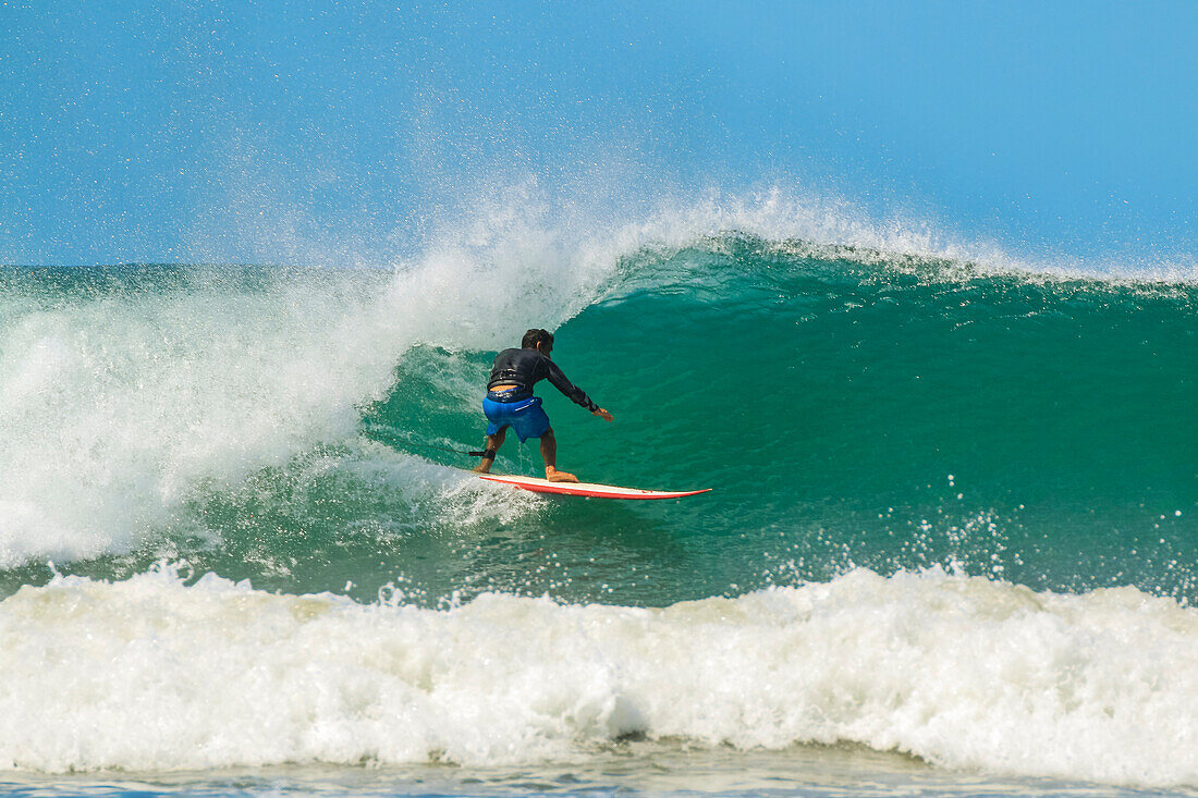 Shortboard-Surfer reitet auf einer Welle an diesem schnell wachsenden Surfstrand und Yoga-Ziel, Playa Guiones, Nosara, Guanacaste, Costa Rica, Mittelamerika