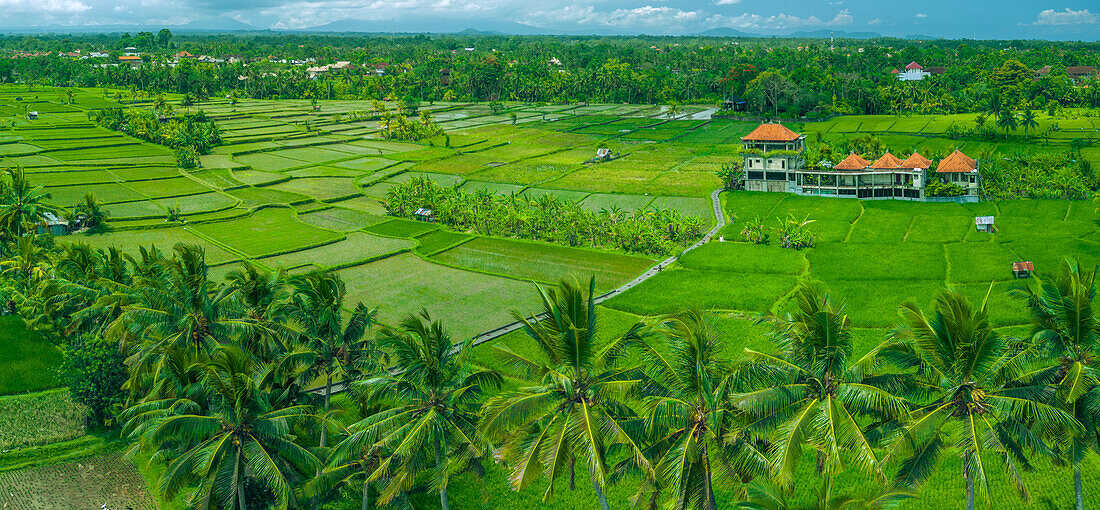 Aerial view of Kajeng Rice Field, Gianyar Regency, Bali, Indonesia, South East Asia, Asia