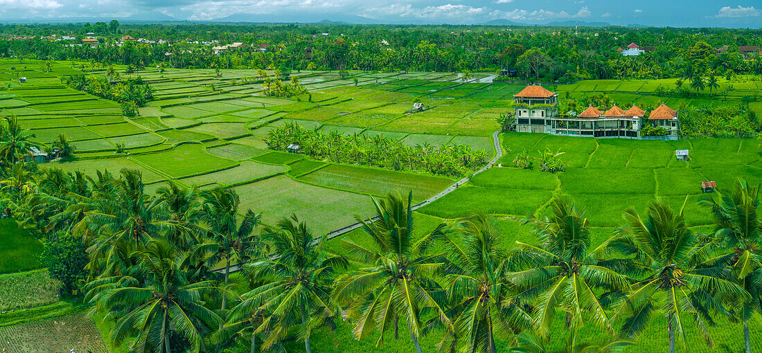 Luftaufnahme des Kajeng-Reisfeldes, Gianyar Regency, Bali, Indonesien, Südostasien, Asien